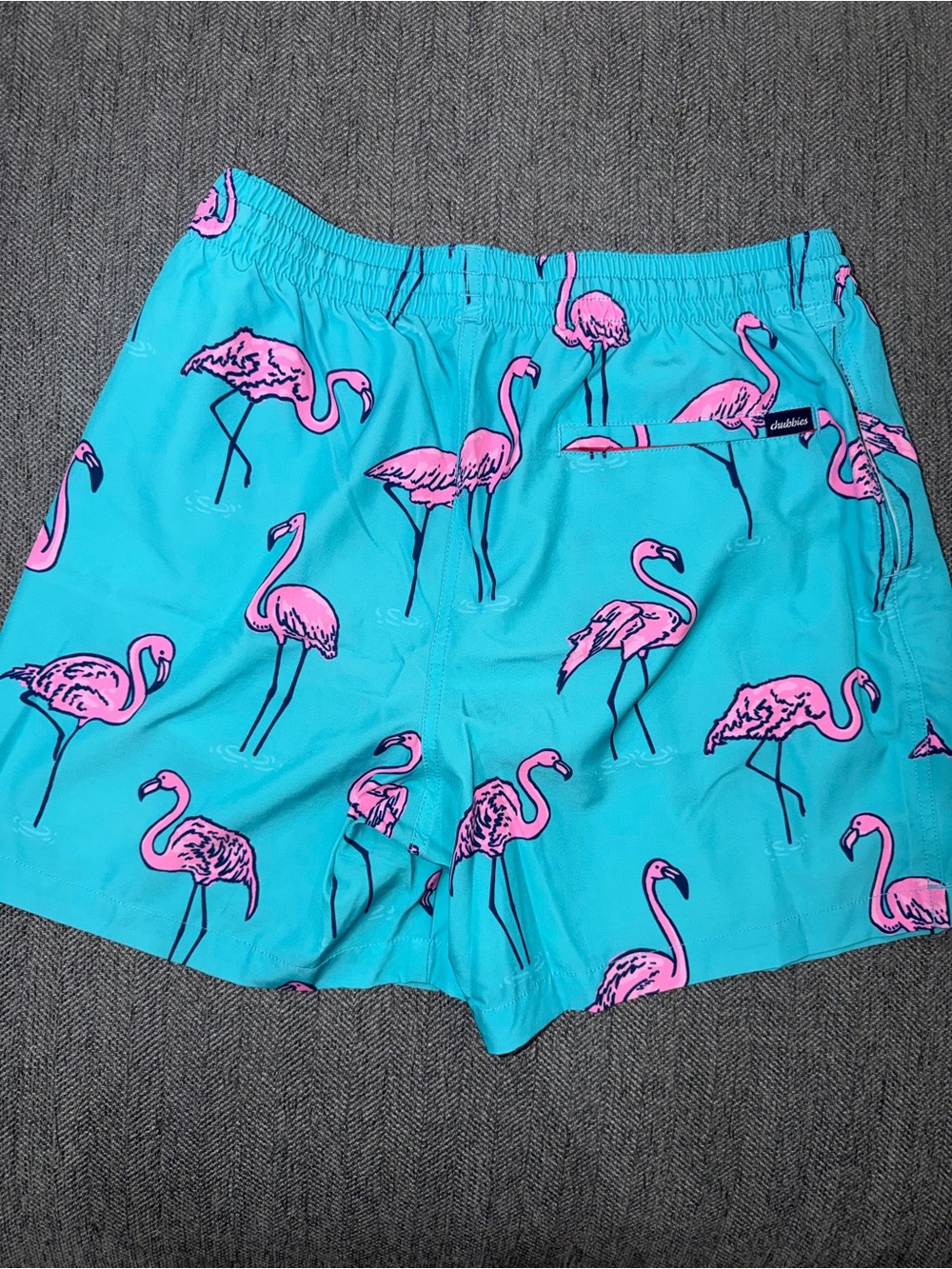 chubbies Turquoise Swim Trunks with Pink Accent Print